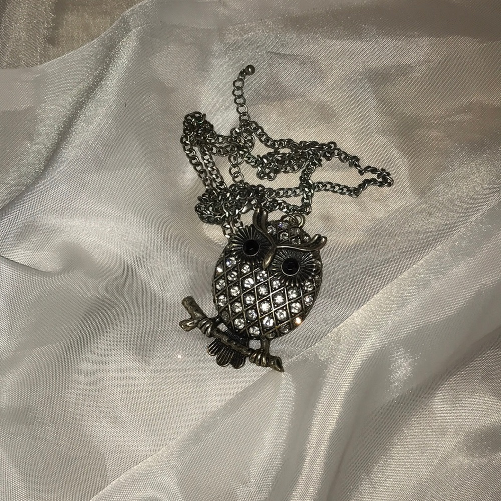 Beautiful Crystal Owl!